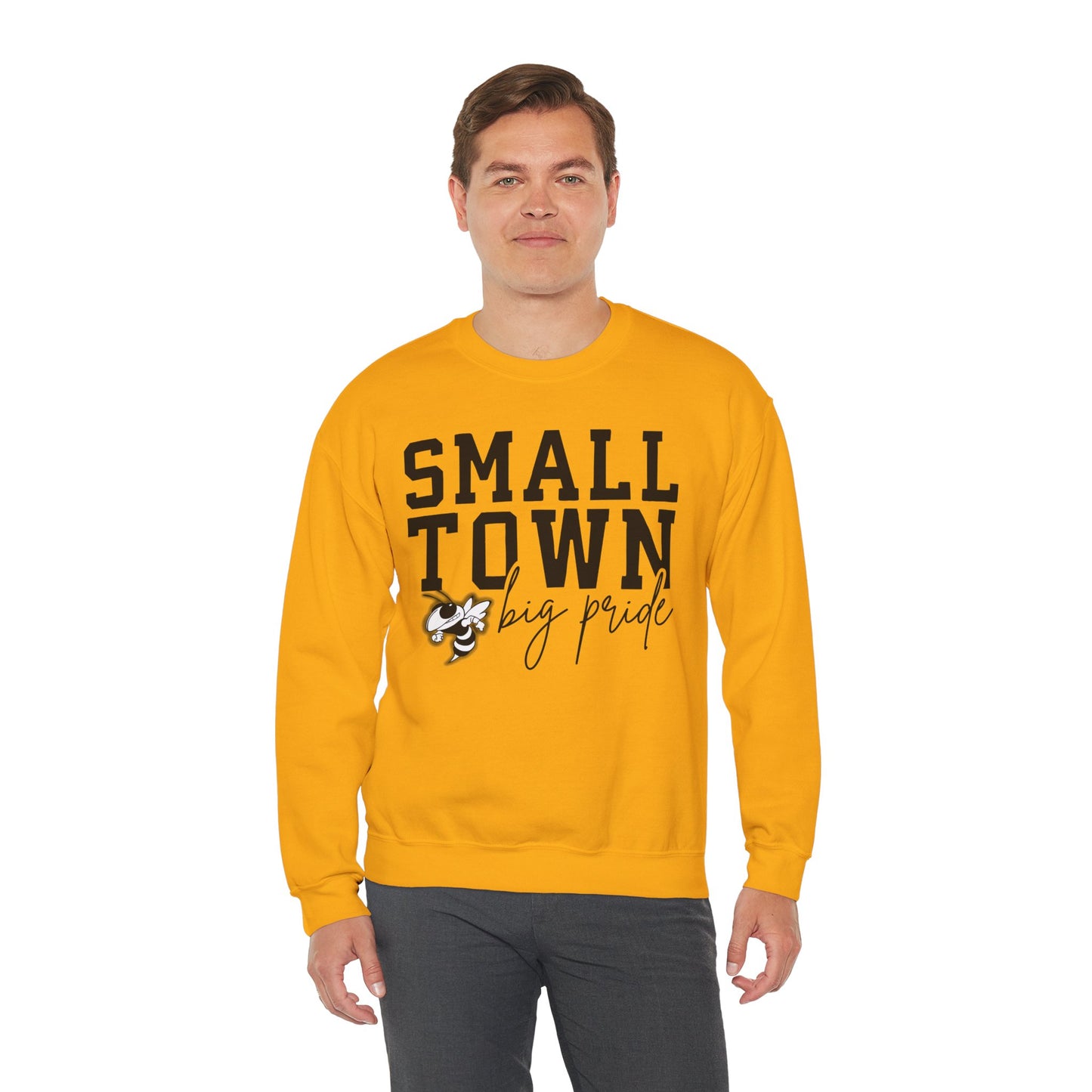Small Town Pride Crewneck Sweatshirt, Cozy Sweatshirt, Gift for Local Fans, Casual Wear, School Spirit Apparel, Community Love Clothing