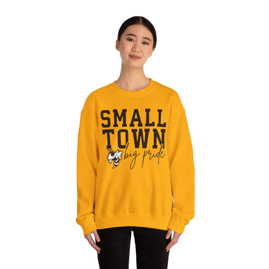 Small Town Pride Crewneck Sweatshirt, Cozy Sweatshirt, Gift for Local Fans, Casual Wear, School Spirit Apparel, Community Love Clothing