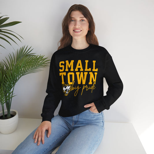 Small Town Pride Crewneck Sweatshirt, Cozy Sweatshirt, Gift for Local Fans, Casual Wear, School Spirit Apparel, Community Love Clothing