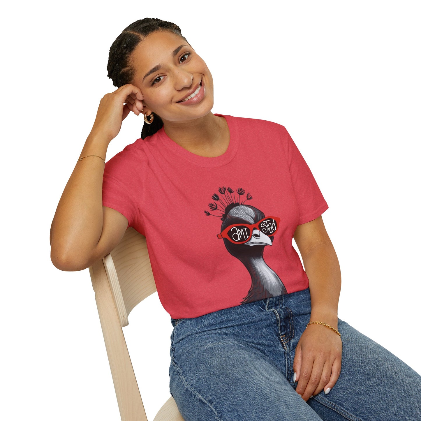Adult Amistad House T-Shirt, Great for Teachers and Staff!